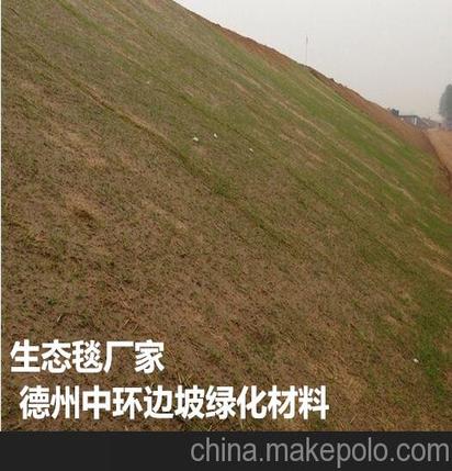 北京植草毯护坡施工方法