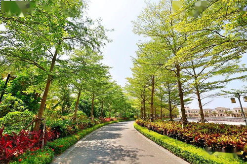 文科园林荣获 广东省二十强优秀园林企业 等多项荣誉